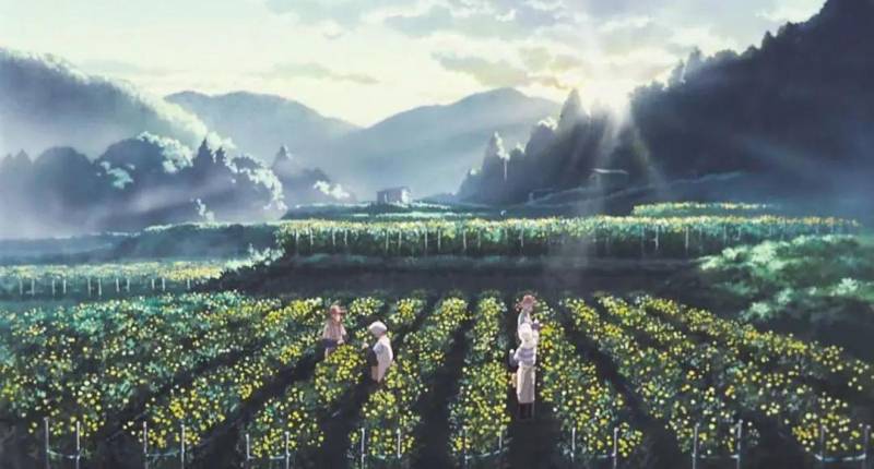 宫崎骏动画电影《岁月的童话》完，三十多年前绘制时光，90后依旧共鸣童年情感