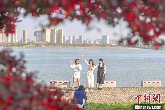 市民在南昌欢度周末，踏青赏花潮玩不停 享受大美春光时光