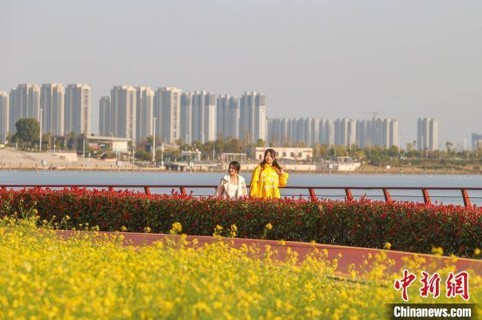 市民在南昌欢度周末，踏青赏花潮玩不停 享受大美春光时光