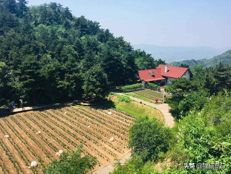 不老湖景区，北京密云区休闲度假胜地，鸭梨飘香醉美景