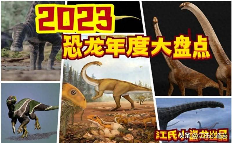 小盗龙测评2024WF限定，探秘未来玩具界的新宠儿，2024年度恐龙潮流风向标！