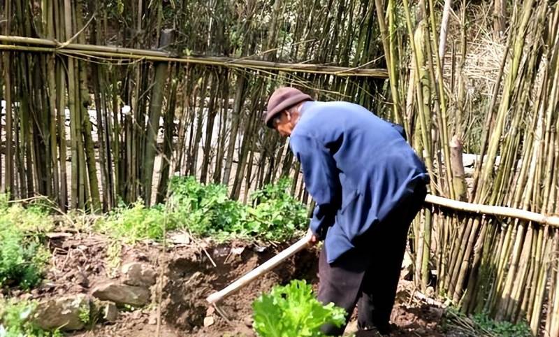 一不小心把太姑奶奶唤醒了，百年沉睡容颜依旧