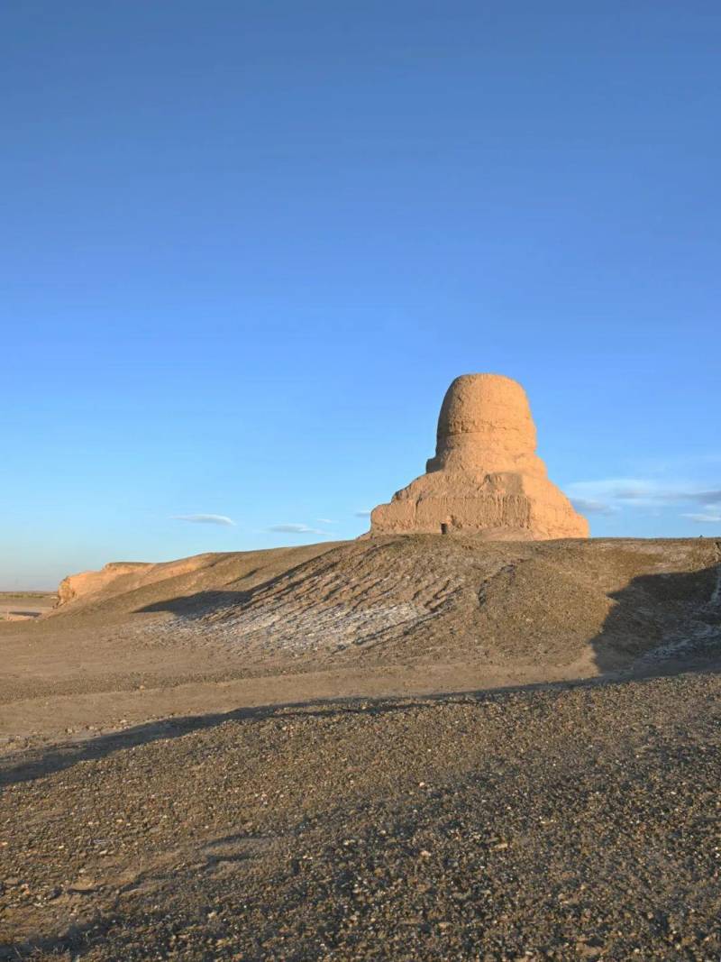 重大发现！新疆现罕见古生物群遗址