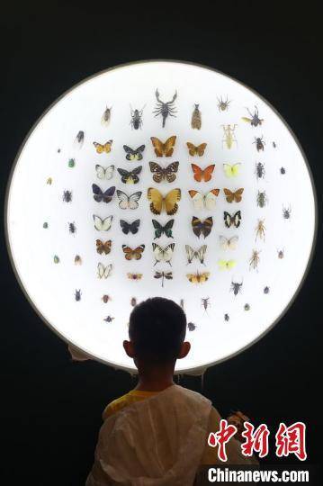 【博物馆展示】南京古生物博物馆，探寻地球历史印记，民众体验古生物奥秘之旅