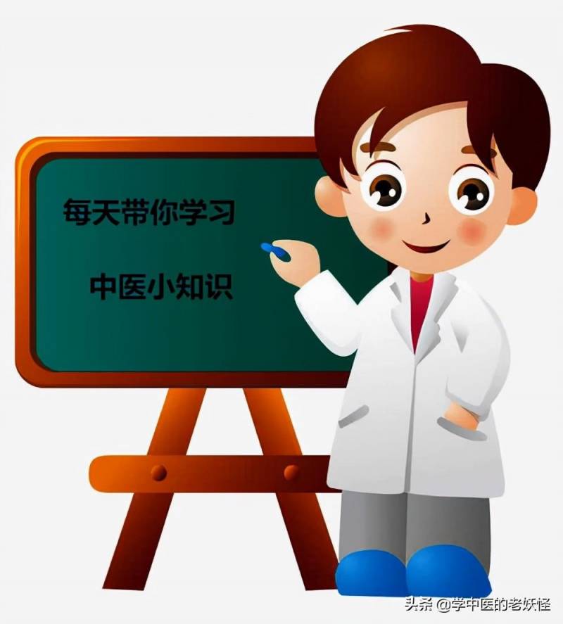 三七的功效与作用——每日学习一味中药，揭秘三七的补血神奇