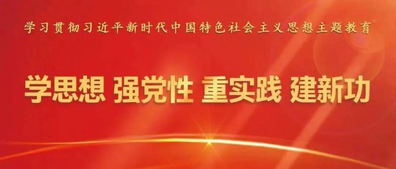 【深化理论武装 聚力创新发展】洪碧霞到新宁镇调研主题教育开展情况 推动党的基层工作走深走实走心