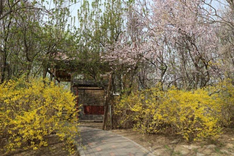 杨柳青庄园 | 探索春日秘境，邂逅繁花盛景之旅！