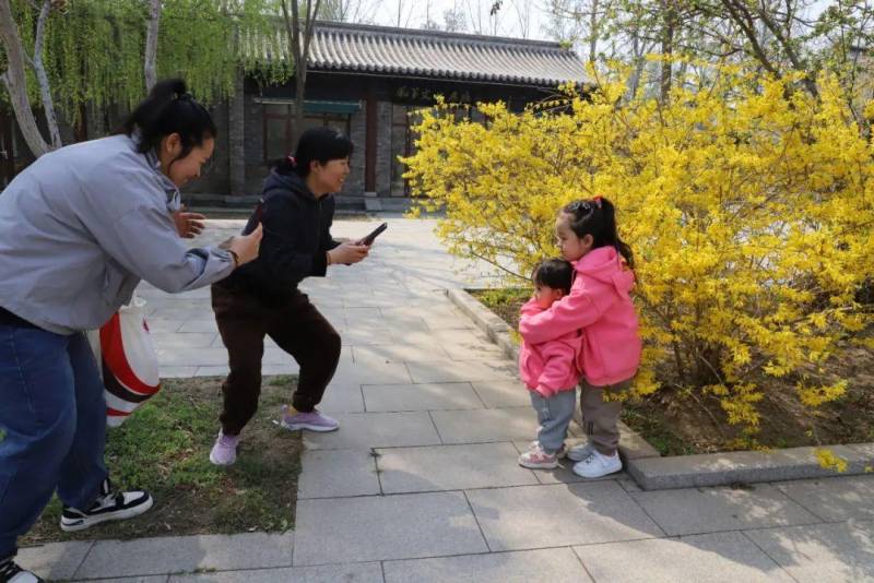 杨柳青庄园 | 探索春日秘境，邂逅繁花盛景之旅！