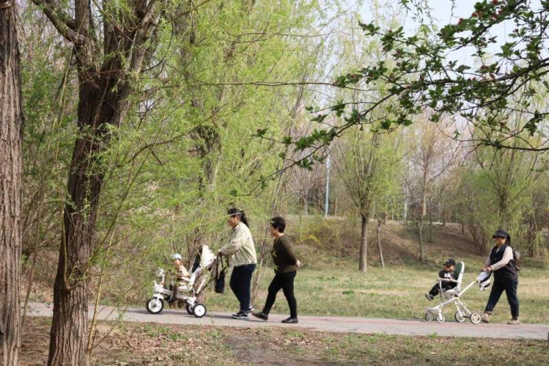 杨柳青庄园 | 探索春日秘境，邂逅繁花盛景之旅！