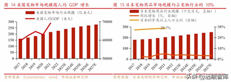 宠物护理赛道领先企业，行业先锋趋势洞察，依依股份深耕细作，引领宠物卫生护理用品新风尚，迎接高景气下的盈利春天。