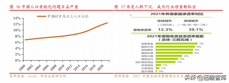 宠物护理赛道领先企业，行业先锋趋势洞察，依依股份深耕细作，引领宠物卫生护理用品新风尚，迎接高景气下的盈利春天。