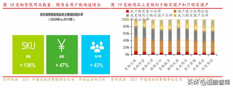 宠物护理赛道领先企业，行业先锋趋势洞察，依依股份深耕细作，引领宠物卫生护理用品新风尚，迎接高景气下的盈利春天。