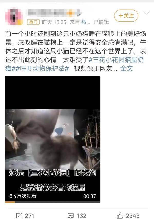 上海女子宠物医院虐猫，医院，已报警并解除雇佣关系