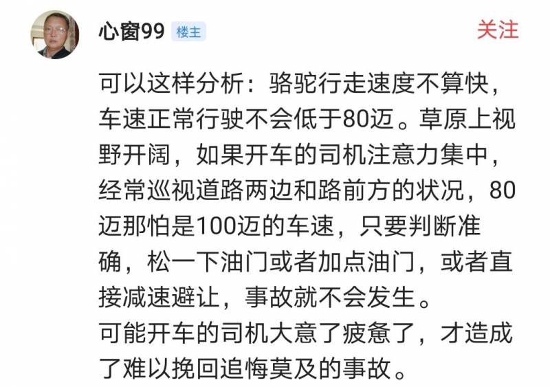 于月仙车祸不幸身亡，现场骆驼内脏散落，同行三人幸免