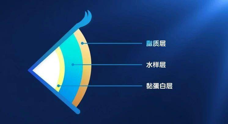 眼睛干痒怎么办？6个实用技巧帮你快速缓解不适