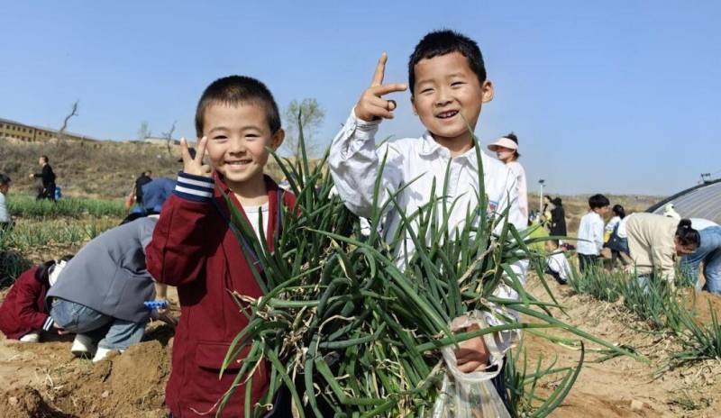 横山幼儿园，孩子们走进社区体验生活