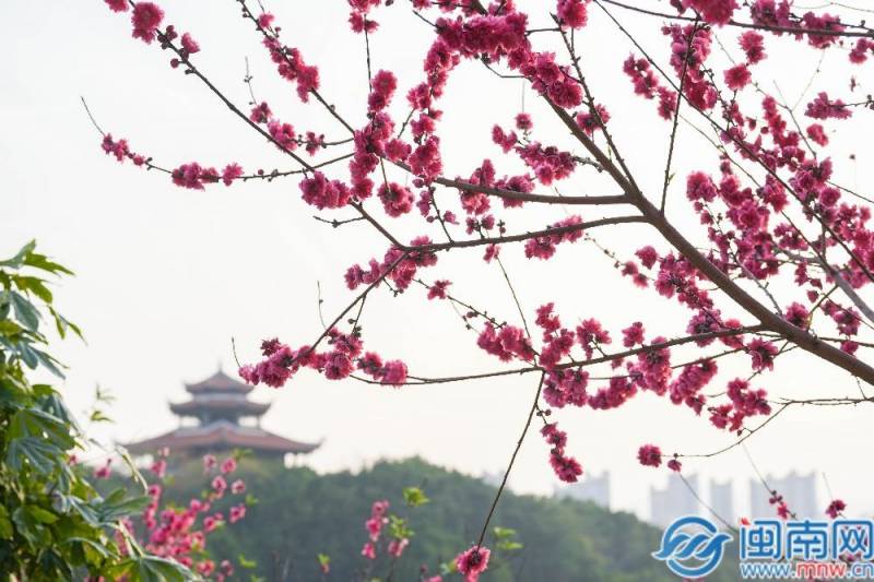 2024年清明节是几月几日？经典诗词领略清明风情