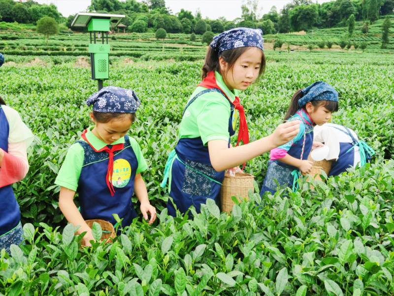 【好消息】第九城市的微博大赛，本地少年荣获佳绩！