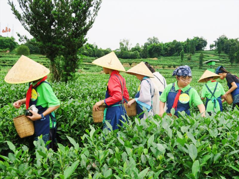 【好消息】第九城市的微博大赛，本地少年荣获佳绩！