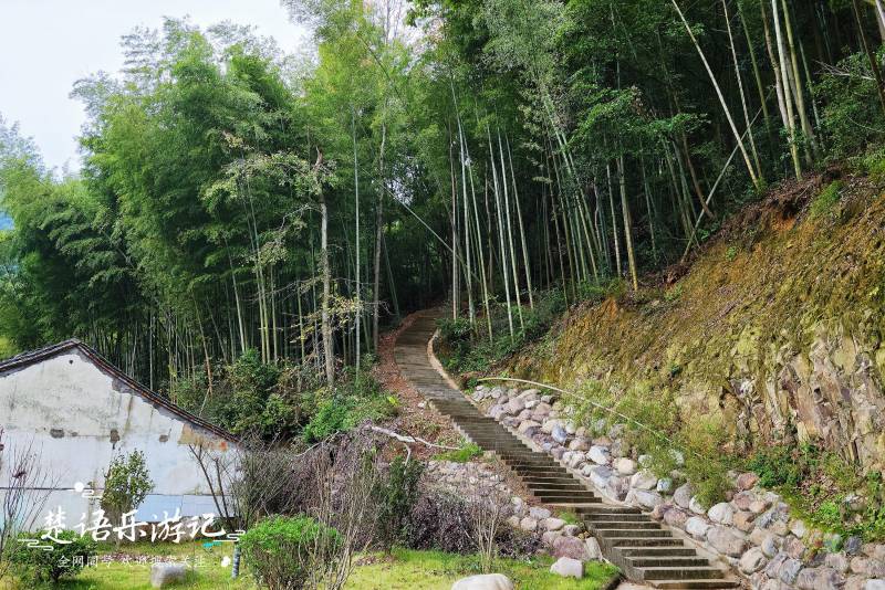 藏在陆埠水库深处的那绝美，翠竹环抱、碧波荡漾