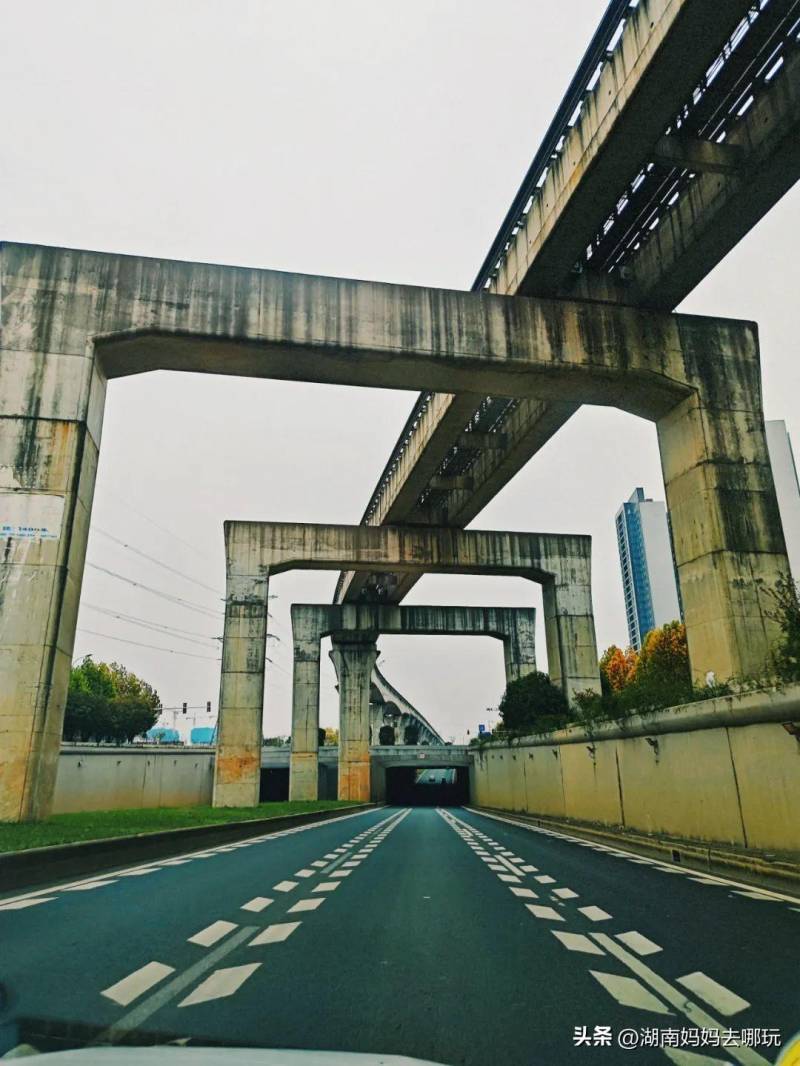 出差旅游遛娃都适合，长沙周边古韵小镇赏花趣。