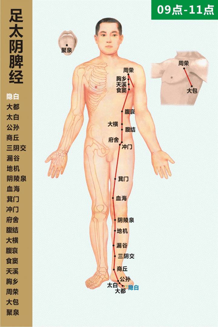 十四经络推拿按摩示范，经络畅通一身轻松