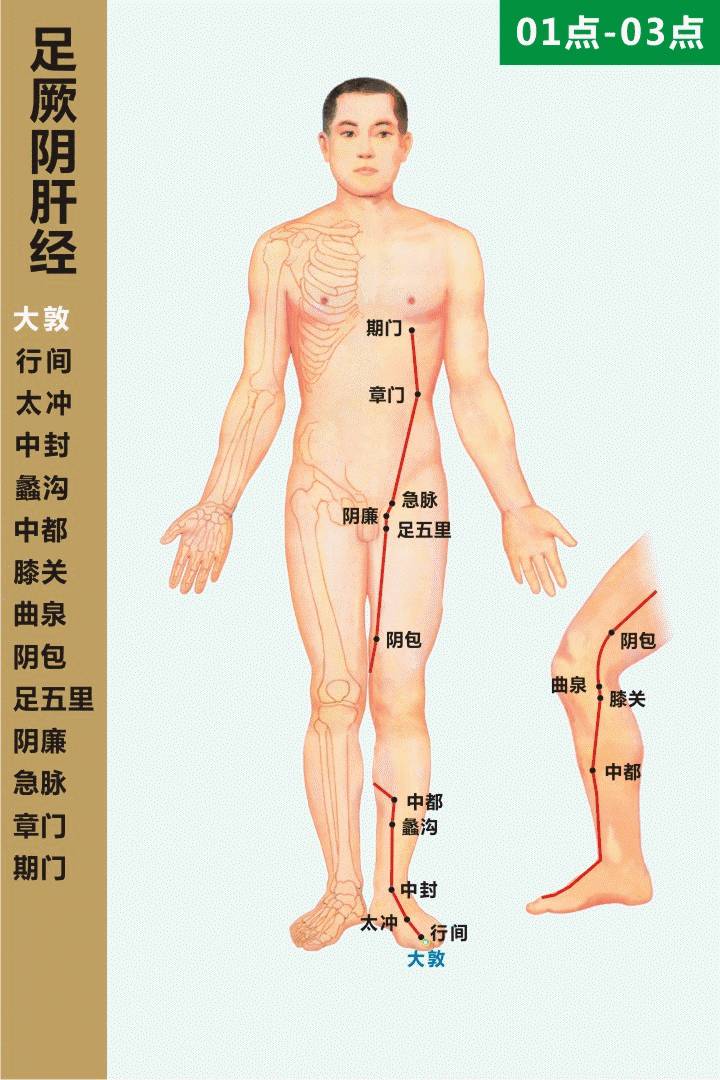 十四经络推拿按摩示范，经络畅通一身轻松