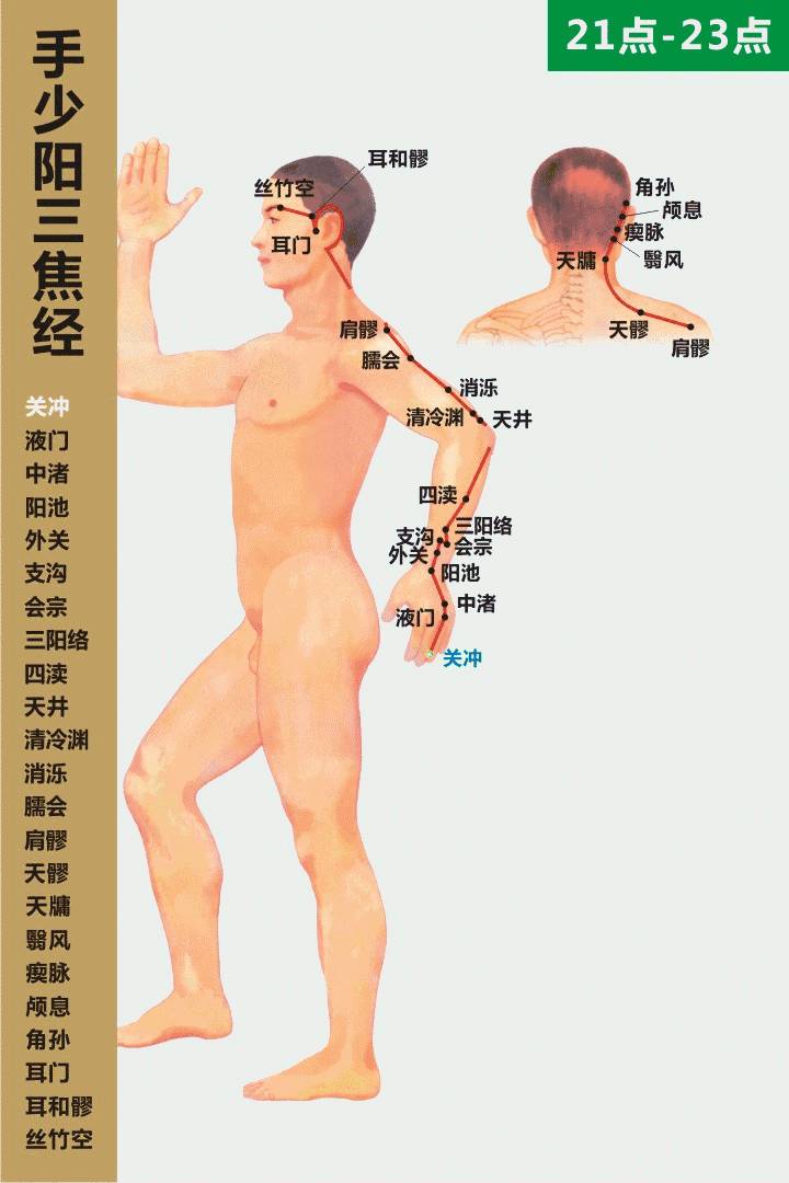 十四经络推拿按摩示范，经络畅通一身轻松