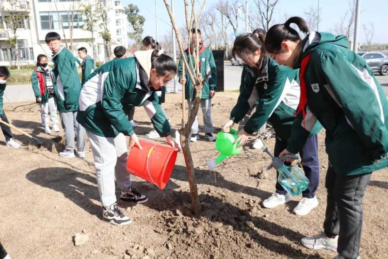 《学校2024》首播，恩菲遭遇校园暴力，现实版悲剧引人关注