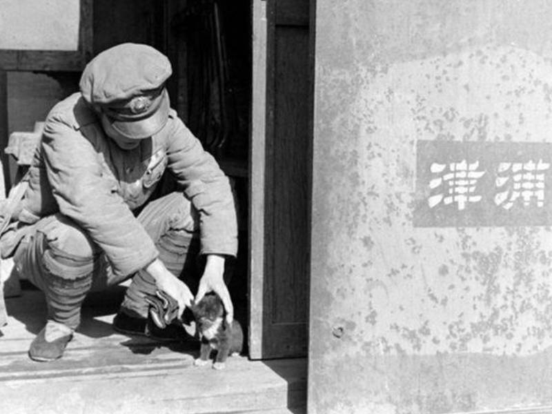 台兒莊1938，中國29萬勇士浴血奮戰，傷亡5萬，殲滅日軍數量驚人！