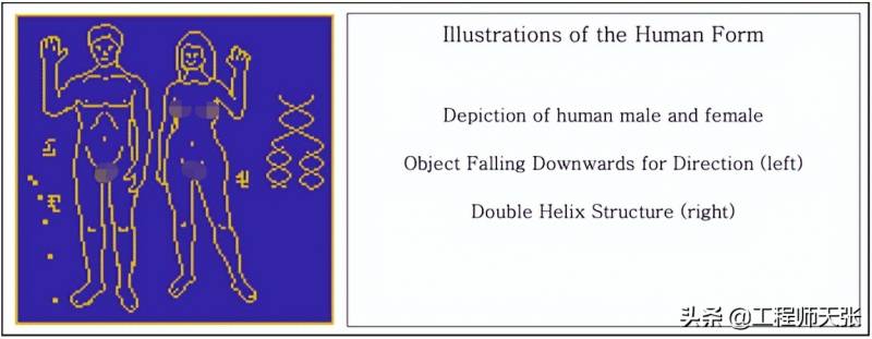 宇宙奇闻奇图微博，人体插图信息太空吸引外星人，美国新策略？