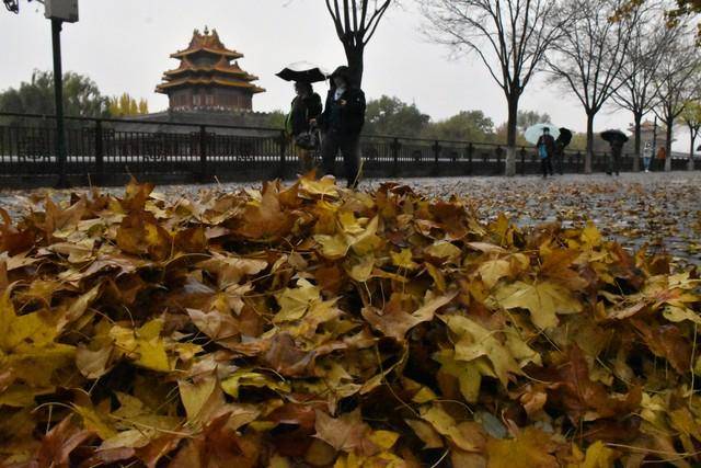 张朝阳旅游播主新征程，北京风光尽在掌握！