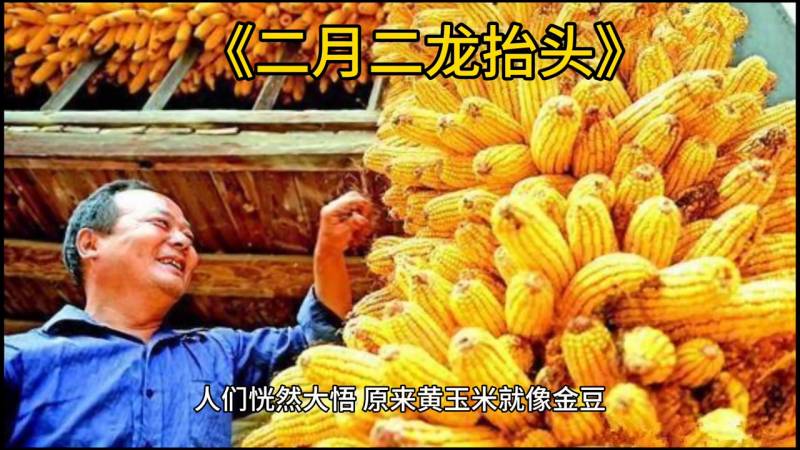 《龙抬头》在线观看短剧全集，民间故事新编演绎