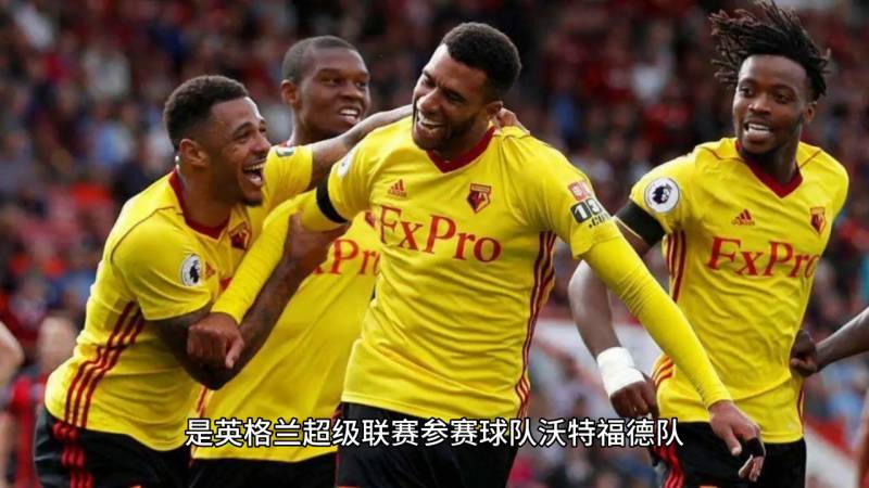 英國Watford足球俱樂部-維卡拉格路球場風採