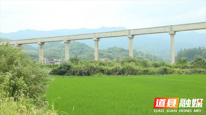 道县涔天河灌区通水 助力57.9万亩农田灌溉