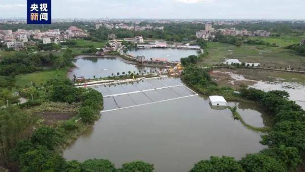 暴雨淹没养殖场，紧急追回36条逃逸鳄鱼