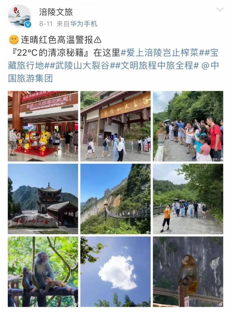 中旅旅行的微博，倡导文明出行，让美好随行每一刻