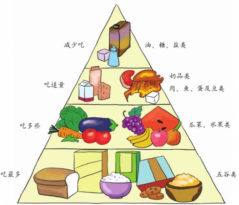 智商220的猩猩能有多厉害，超凡智慧下的潜能如何发挥？