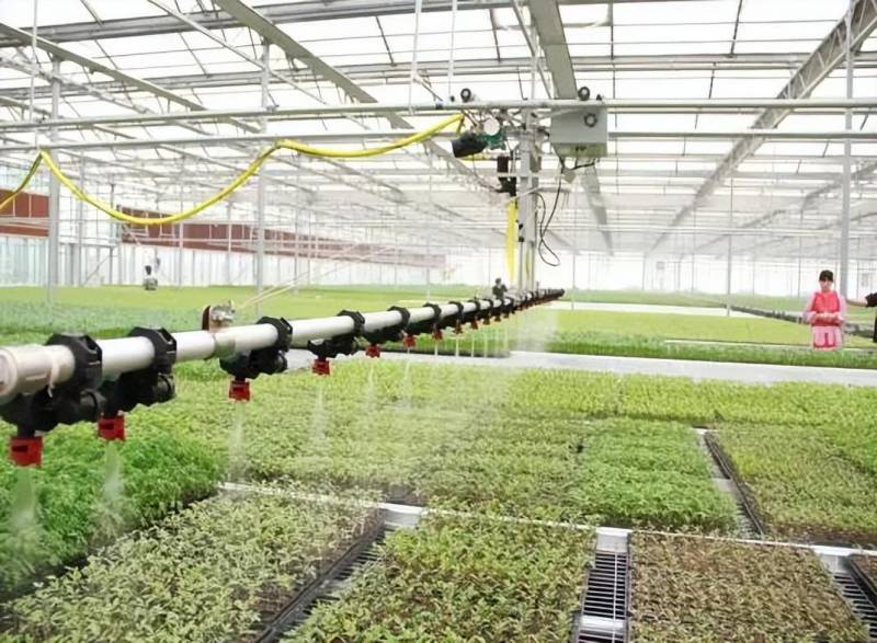 实地探访于家务国际种业园区，科技创新种植未来