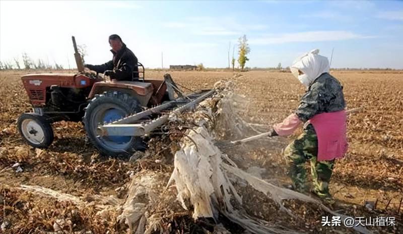 棉田Cottonfield的微博，我国棉田残膜污染治理研究一览