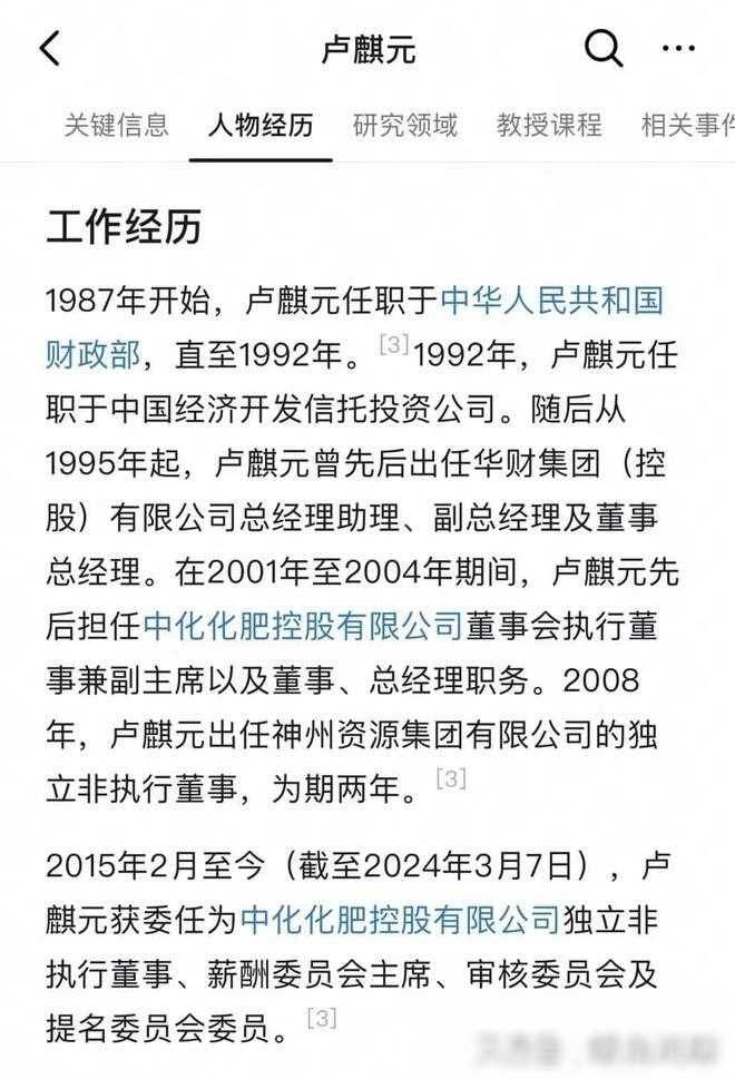 卢麒元指走资派取21万亿致经济乏力，真伪经济学家之辩