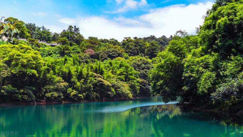 廣州直通鼎湖山，肇慶一日遊賞美景硯陽湖