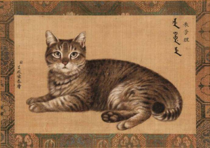 【双语】艺术五喵大揭秘，谁才是史上最炫酷的猫？命名比你的还酷！