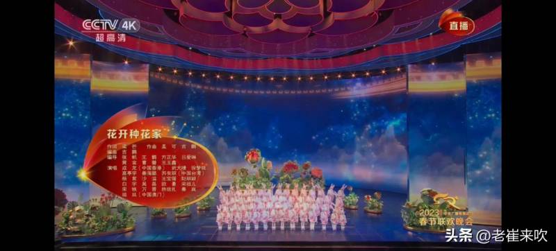 央视兔年春晚开场曲《花开种花家》，传递家国情怀与新春祝福