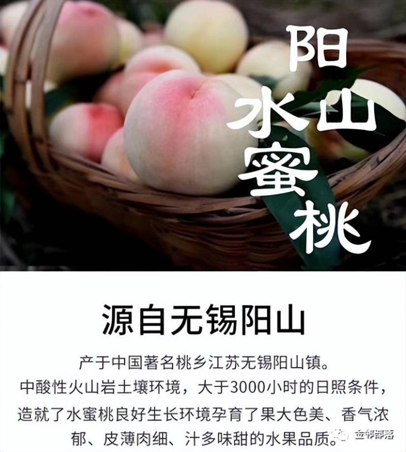 如何分辨正宗阳山水蜜桃？真假挑选大作战！