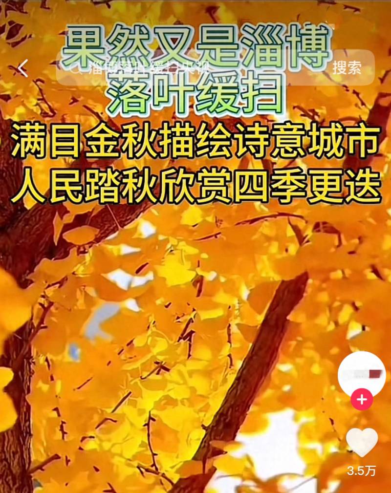 淄博七中超话，秋天里的火热青春，网友热议想去体验！