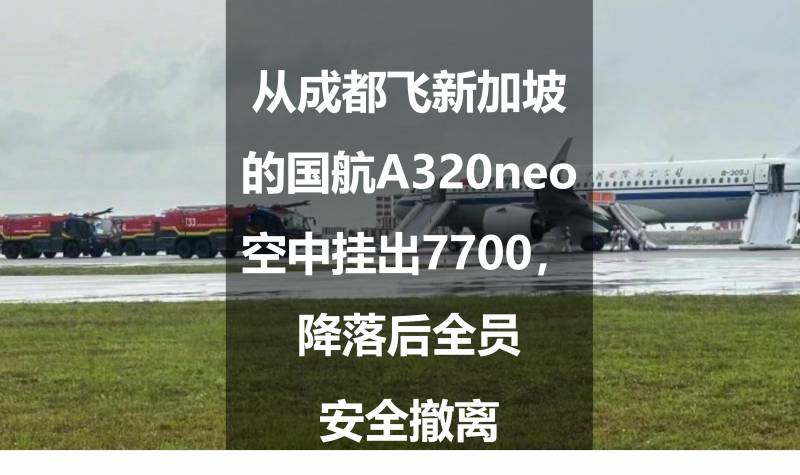 空客A320neo客舱烟雾，紧急降落，全员安全