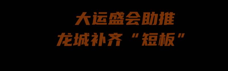 龙城大学，助力深圳高教发展，刘琴琴谈20年征程