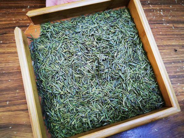石阡苔茶，品质卓越 春节期间销量攀升