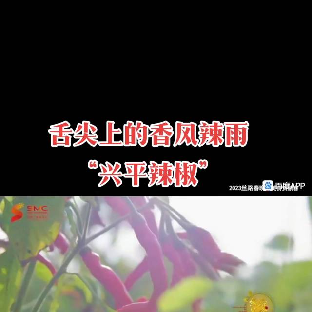 舌尖上的香風辣雨興平辣子，辣出醇香，激活味蕾每一刻#抖音美食記錄